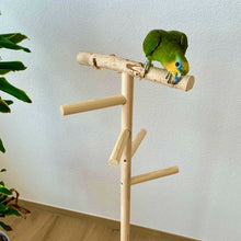 Lade das Bild in den Galerie-Viewer, Papageien Freisitz aus Birkenholz/Kiefernholz 1,20 m