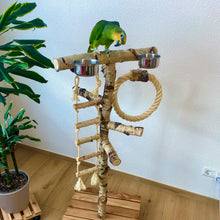 Lade das Bild in den Galerie-Viewer, Papageien Freisitz aus Birkenholz inkl. Futterschüsseln und Spielzeug 1,20 - 1,60 m