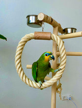 Lade das Bild in den Galerie-Viewer, Papageien Freisitz aus Birkenholz/Kiefernholz inkl. Futterschüsseln und Spielzeug 1,20 m