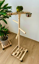 Lade das Bild in den Galerie-Viewer, Papageien Freisitz aus Birkenholz/Kiefernholz inkl. Futterschüsseln 1,20 m