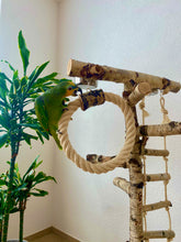 Lade das Bild in den Galerie-Viewer, Papageien Freisitz aus Birkenholz inkl. Futterschüsseln und Spielzeug 1,20 - 1,60 m