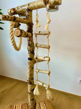 Lade das Bild in den Galerie-Viewer, Papageien Freisitz aus Birkenholz inkl. Futterschüsseln und Spielzeug 1,20 - 1,60 m