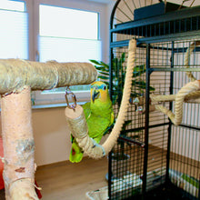 Lade das Bild in den Galerie-Viewer, Papageien Kletterseil, Sisal/Birkenholz, 2 Karabiner, Ø 30mm, L= 80 - 120 cm