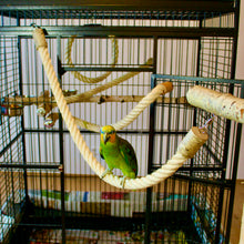 Lade das Bild in den Galerie-Viewer, Papageien Kletterseil, Sisal/Birkenholz, 2 Karabiner, Ø 30mm, L= 80 - 120 cm