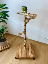 Lade das Bild in den Galerie-Viewer, Papageien Freisitz aus Birkenholz 1,20 - 1,60 m
