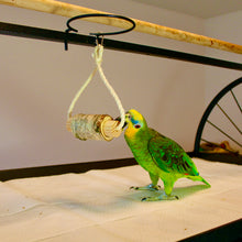 Lade das Bild in den Galerie-Viewer, Papageien Spielzeug Denkspiel aus Sisal/Birkenholz mit Karabiner

