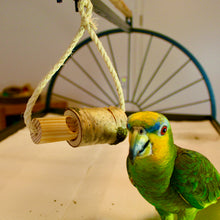 Lade das Bild in den Galerie-Viewer, Papageien Spielzeug Denkspiel aus Sisal/Birkenholz mit Karabiner
