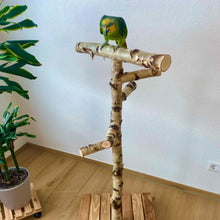 Lade das Bild in den Galerie-Viewer, Papageien Freisitz aus Birkenholz 1,20 - 1,60 m
